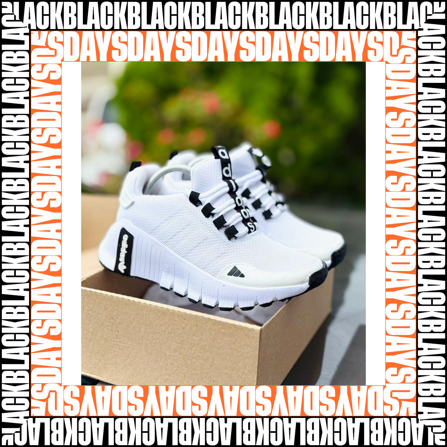 AD Free Dama  - OFERTA 2026